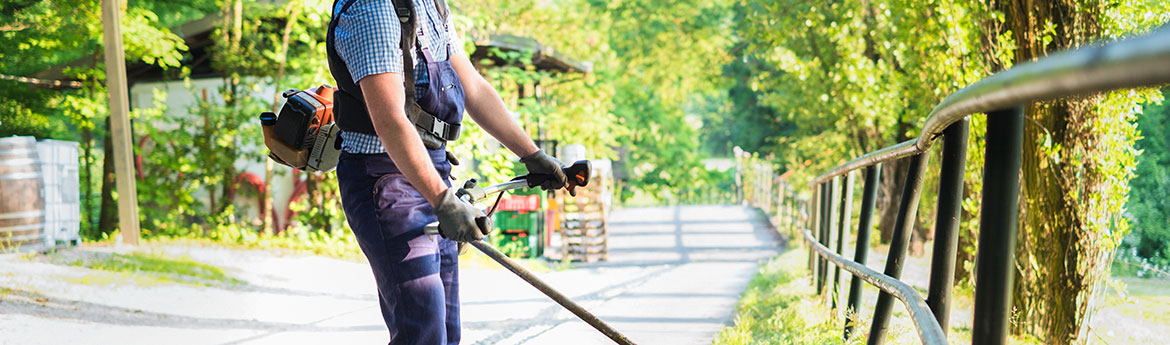 Professioneller Hausmeisterservice bei der Gartenpflege.